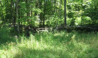 1260 Valentine Pond Rd, Adirondack, NY 12808