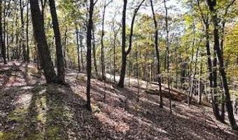 0 LOWER ARKANSAS Rd, Baker, WV 26801