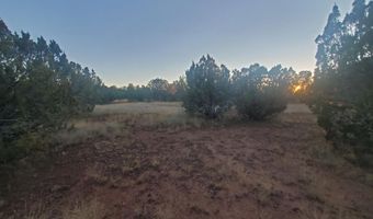 1 COUNTY ROAD N8155, Concho, AZ 85924