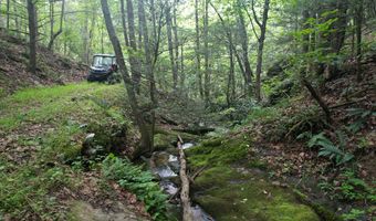 Hall Hollow Road, Austinville, VA 24312