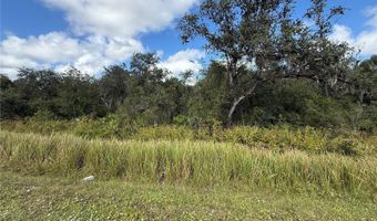 SW HWY 17, Arcadia, FL 34266