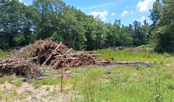 Dan Churchman Road, Axis, AL 36505