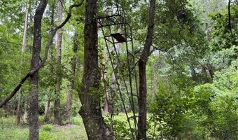 Tbd NW 67TH BOULEVARD, Alachua, FL 32615