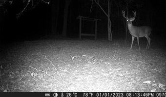 County Road 72, Ariton, AL 36311