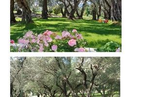 2804 Southgate Rd, Alpine, CA 91901