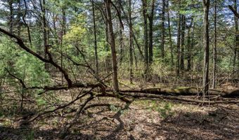 S Badger Lane lot 38, Arkdale, WI 54613