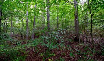 0 State Route 550, Amesville, OH 45711