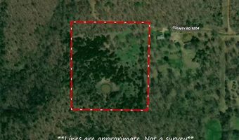 10 Acres CR 9204, Alpena, AR 72611