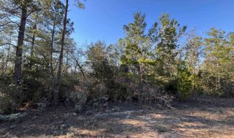 Deshutes Drive, Alford, FL 32420