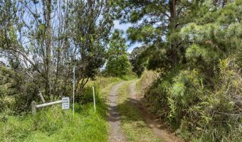 44-3791 KUKUIPAPA Rd, Honokaa, HI 96727