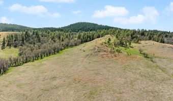 Tract 9 Lone Elk Ranch, Alva, WY 82711