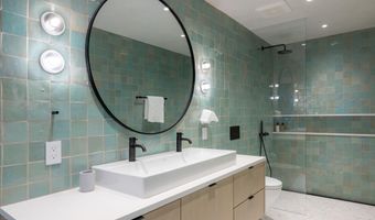 609 W Francis St, Aspen, CO 81611