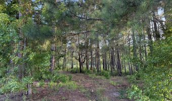 Reeves Street lot 16, Aiken, SC 29805