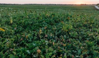 0000 450th Rd, Bassett, NE 68714