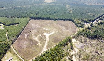 Lot 1 Highway 790, Ackerman, MS 39735