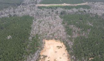 2573 SE Pricedale Dr, Bogue Chitto, MS 39629