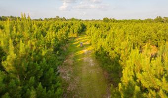 Mann Road, Arabi, GA 31712