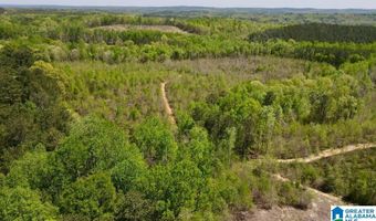 LANDFILL ROAD lot 1, Ashland, AL 36251