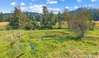 2228 BLUE CREEK Rd, Addy, WA 99101