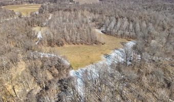 Sandy Branch Road, Bardwell, KY 42023