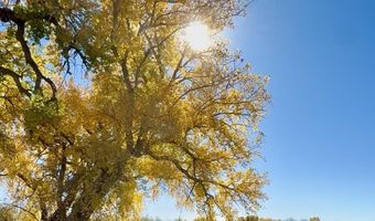 ROAD 4599, Blanco, NM 87412