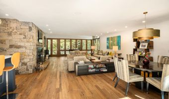 970 Powder Ln, Aspen, CO 81611