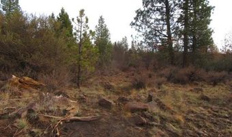 Polar Bear Lane lot 4, Bonanza, OR 97623