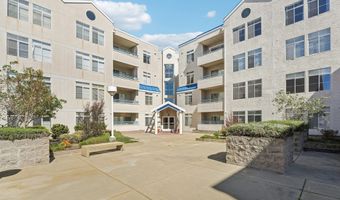 535 Pierce St 3216, Albany, CA 94706
