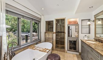 153 W Lupine Dr, Aspen, CO 81611