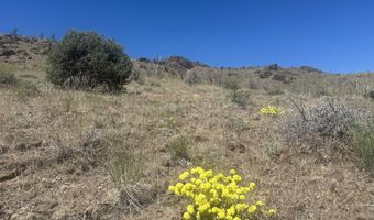 930 Cavelti Rd, Gardnerville, NV 89410