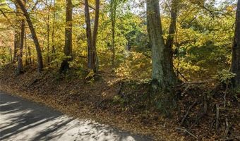 286 Lowry St, Ball Ground, GA 30107