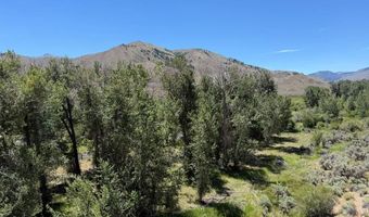E Fork Road, Clayton, ID 83227