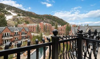 415 E Dean Unit 45 Wks 51 52 27, Aspen, CO 81611