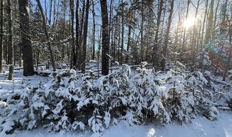 US-1 lot 10, Baring Plt, ME 04694
