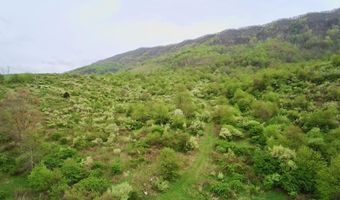 Tbd Clear Fork Creek Road, Bastian, VA 24314