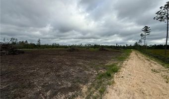 9 219 Ac Rhine Alma GA Rd, Alma, GA 31510