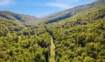 Steve Brown Rd, Bean Station, TN 37708