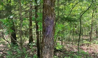 0 County Road 224, Alton, MO 65606