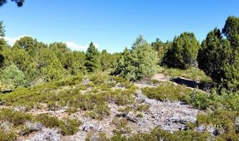 lot 26, Alton, UT 84710