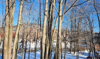 30 Beech St 4C, Bristol, NH 03222