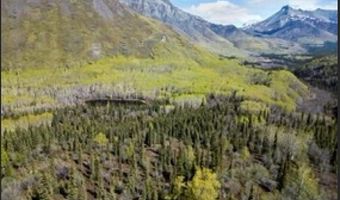 B005 Packsaddle Road, Chickaloon, AK 99674