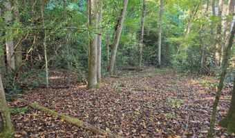 0 Lords Way, Andrews, NC 28901