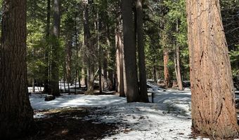 1968 Flamingo Way, Arnold, CA 95223