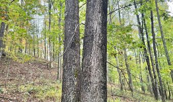 Jesse Run Rd, Arnoldsburg, WV 25234