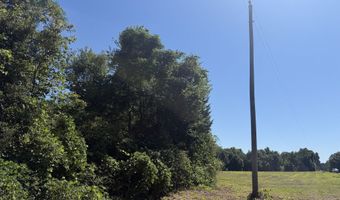 006 H Wallace Buie Rd, Ashford, AL 36376