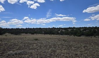 165 Off Old Hwy 66, Ash Fork, AZ 86320