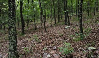 13 Hidden Vly Lks, Annapolis, MO 63620