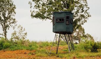 447 County Road 215, Abbeville, MS 38601