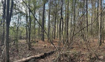 Watts Ln NW, Brookhaven, MS 39601