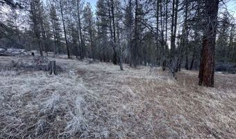 Bobcat Circle, Beatty, OR 97621